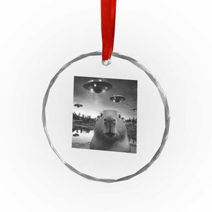 Funny Capybara Crystal Glass Ornament Selfie With UFOs Capy Meme Graphic TS02 Print Your Wear