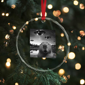Funny Capybara Crystal Glass Ornament Selfie With UFOs Capy Meme Graphic TS02 Print Your Wear