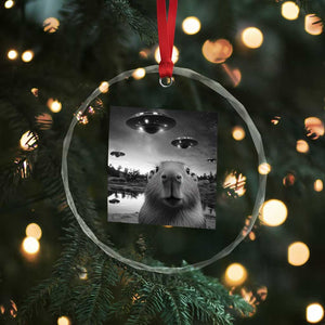 Funny Capybara Crystal Glass Ornament Selfie With UFOs Capy Meme Graphic TS02 Print Your Wear