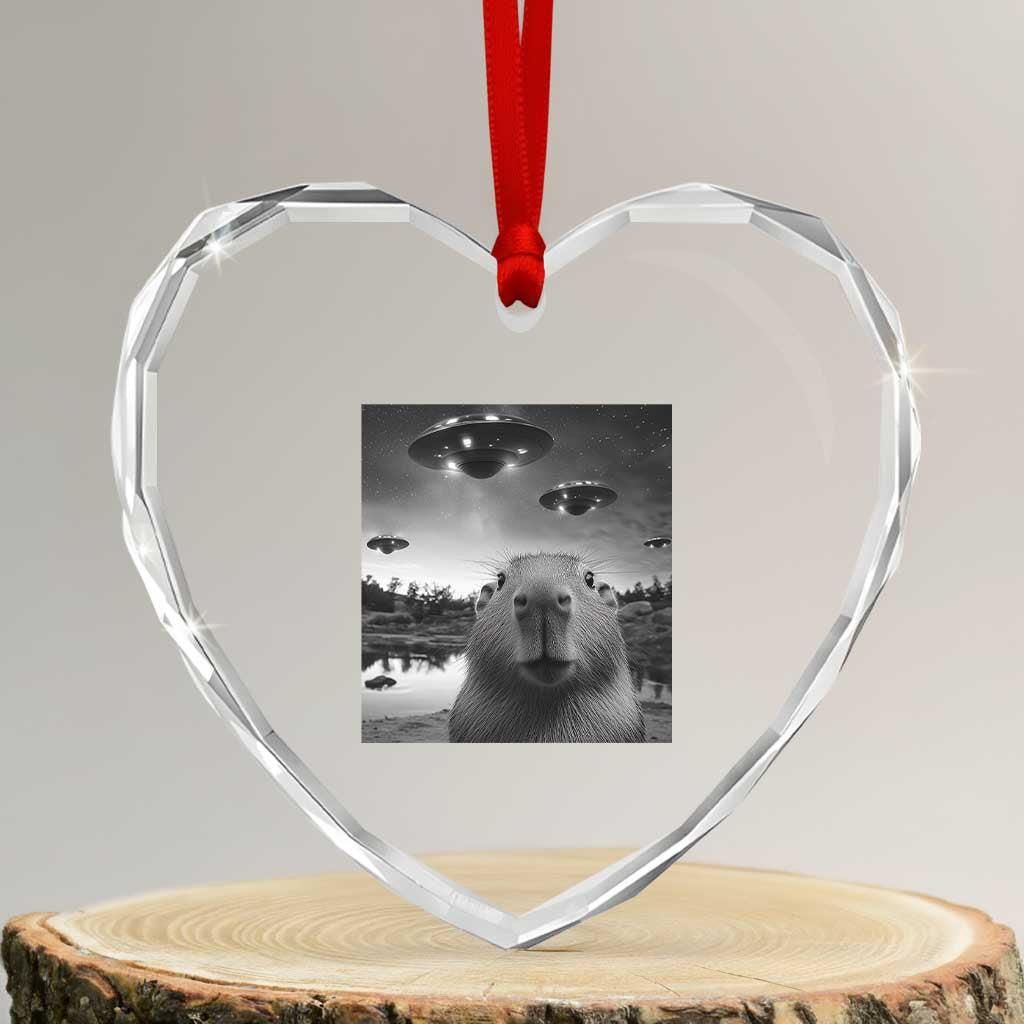 Funny Capybara Heart Crystal Glass Ornament Selfie With UFOs Capy Meme Graphic TS02 Transparent Glass 3'' Heart Print Your Wear
