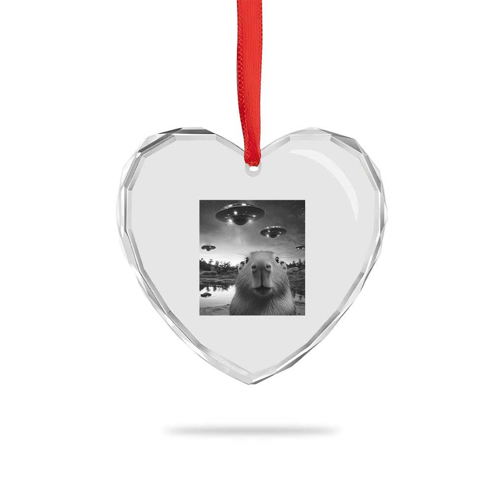Funny Capybara Heart Crystal Glass Ornament Selfie With UFOs Capy Meme Graphic TS02 Print Your Wear