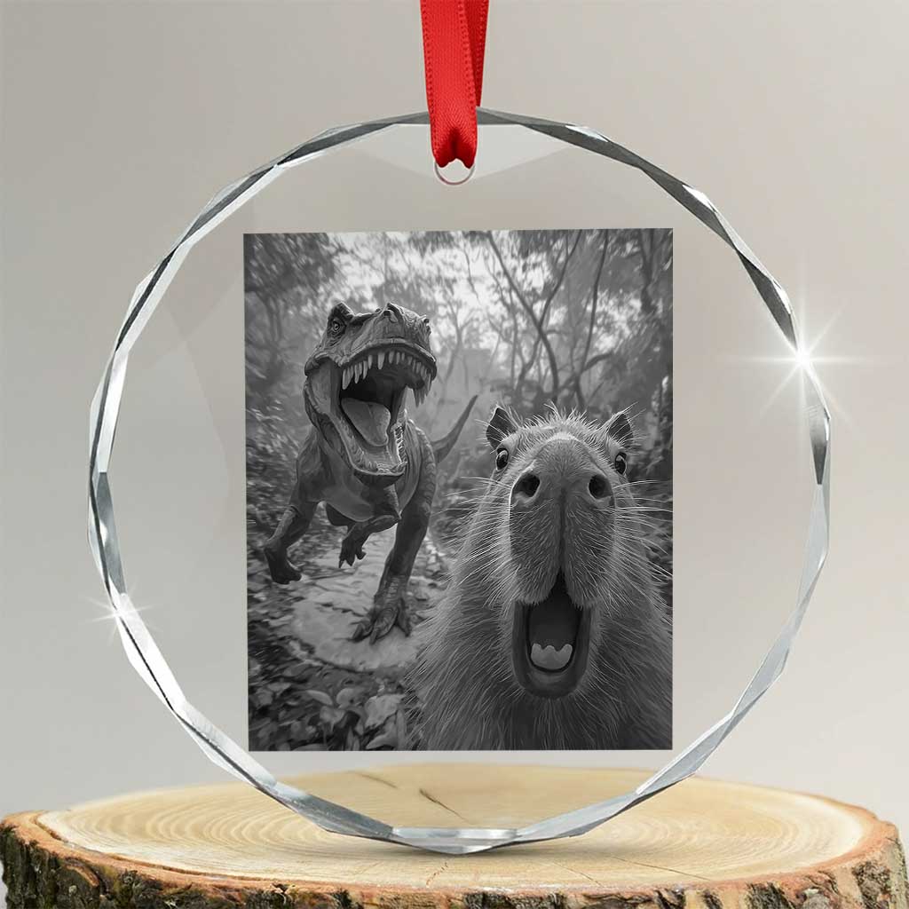Funny Capybara Selfie With Dinosaur Meme Crystal Glass Ornament Animal Humor Gift TS12 Transparent Glass 3'' Circle Print Your Wear