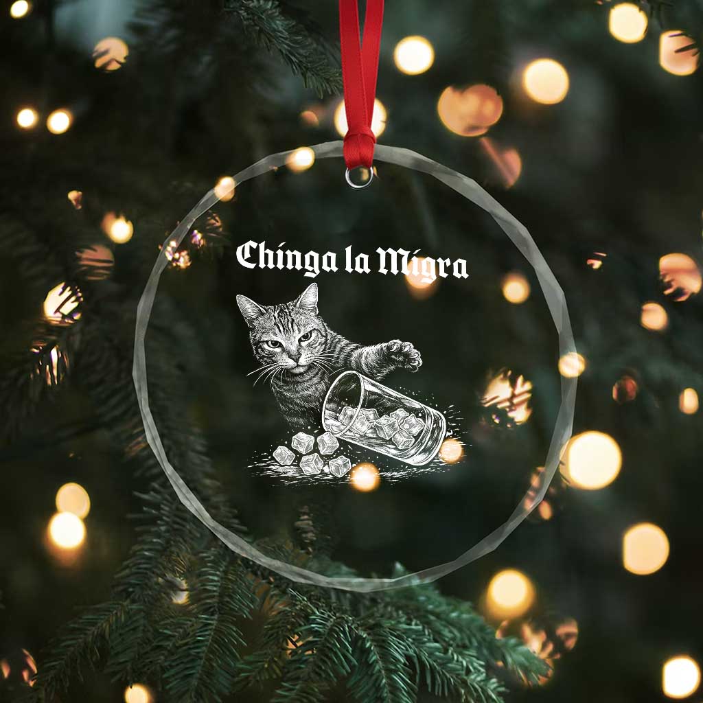 Funny Cat Anti ICE Meme Crystal Glass Ornament TS14 Print Your Wear