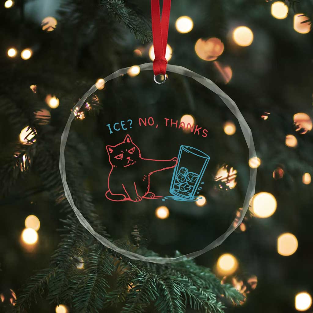 Funny Cat Anti ICE Political Protest Crystal Glass Ornament Ice? No Thanks TS14 Print Your Wear
