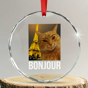 Funny Cat Bonjour Crystal Glass Ornament Paris France Eiffel Tower Orange Cat Meme TS10 Transparent Glass 3'' Circle Print Your Wear