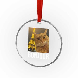 Funny Cat Bonjour Crystal Glass Ornament Paris France Eiffel Tower Orange Cat Meme TS10 Print Your Wear