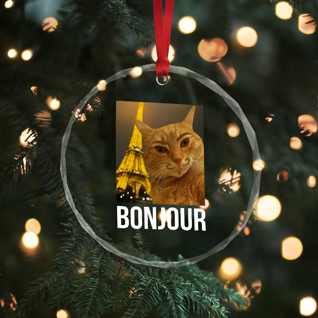 Funny Cat Bonjour Crystal Glass Ornament Paris France Eiffel Tower Orange Cat Meme TS10 Print Your Wear
