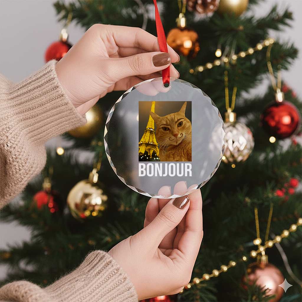 Funny Cat Bonjour Crystal Glass Ornament Paris France Eiffel Tower Orange Cat Meme TS10 Print Your Wear