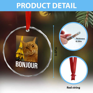 Funny Cat Bonjour Crystal Glass Ornament Paris France Eiffel Tower Orange Cat Meme TS10 Print Your Wear