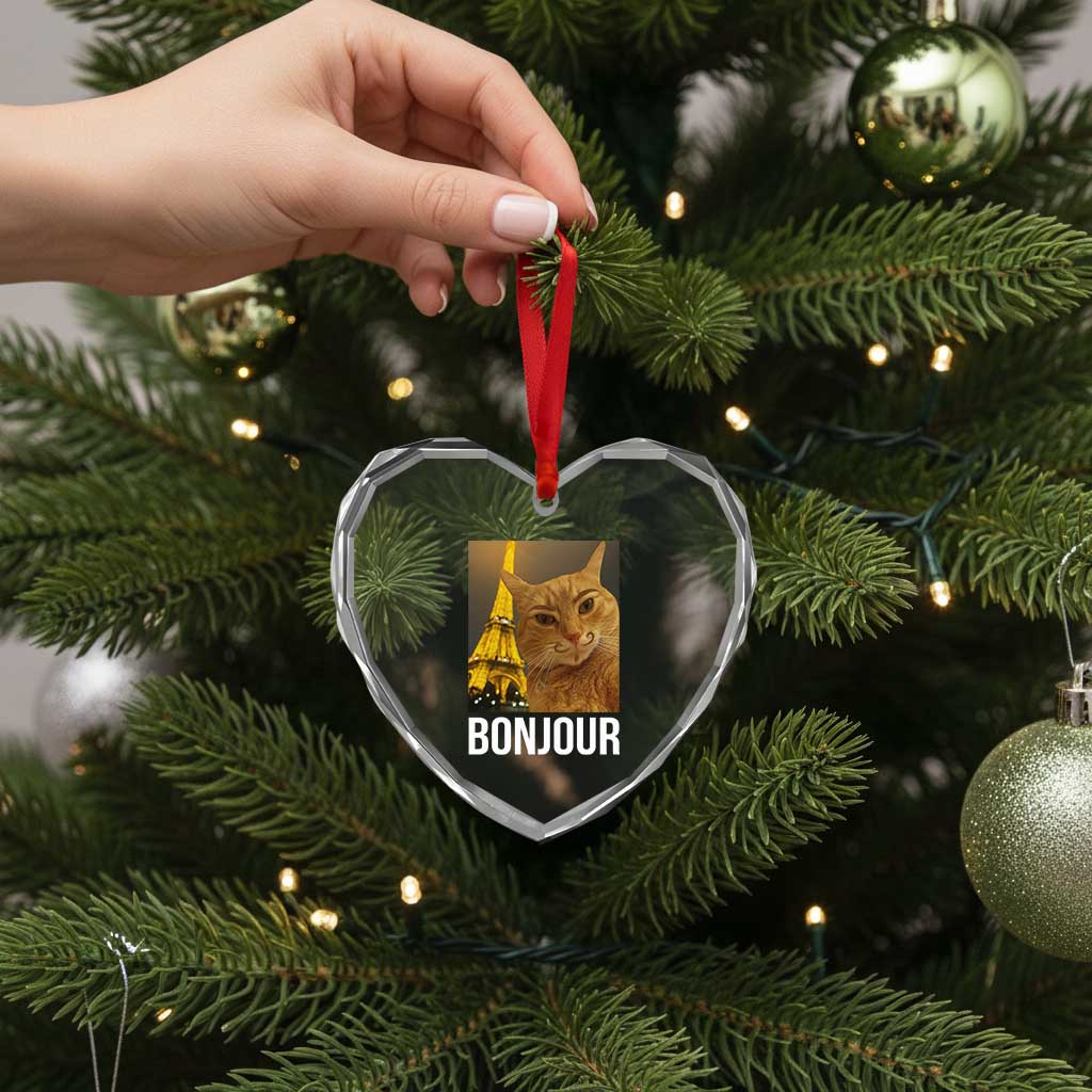 Funny Cat Bonjour Heart Crystal Glass Ornament Paris France Eiffel Tower Orange Cat Meme TS10 Print Your Wear