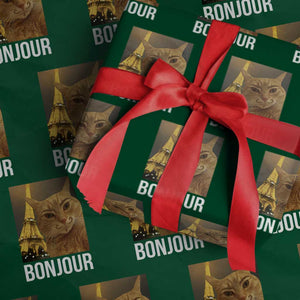Funny Cat Bonjour Wrapping Paper Roll Paris France Eiffel Tower Orange Cat Meme TS10 Green Print Your Wear