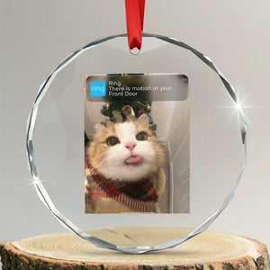 Funny Cat Christmas Crystal Glass Ornament Ring There is Motion at Your Front Door Meme Xmas Tree TS10 Transparent Glass 3'' Circle Print Your Wear