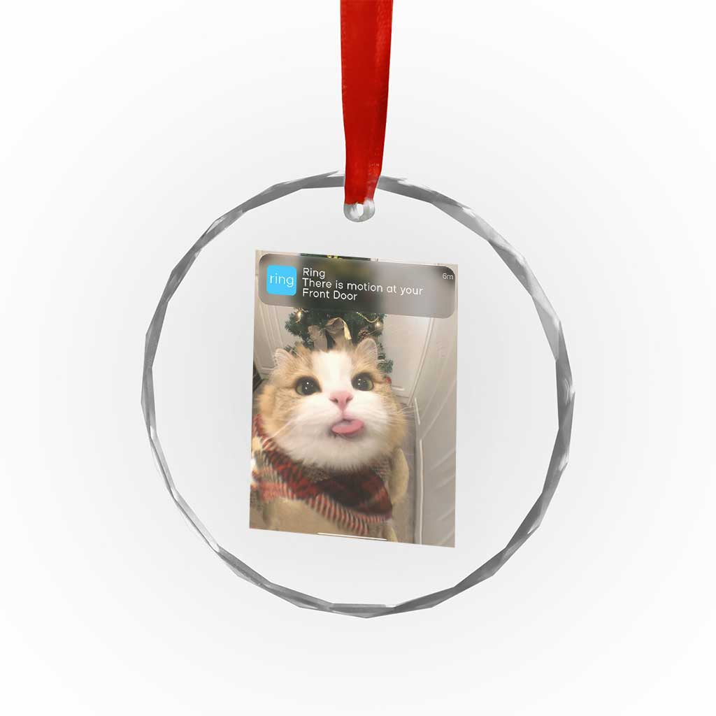 Funny Cat Christmas Crystal Glass Ornament Ring There is Motion at Your Front Door Meme Xmas Tree TS10 Print Your Wear
