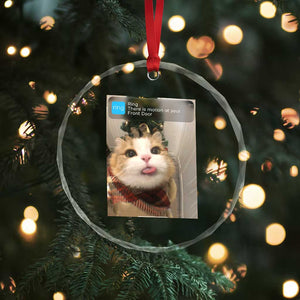 Funny Cat Christmas Crystal Glass Ornament Ring There is Motion at Your Front Door Meme Xmas Tree TS10 Print Your Wear