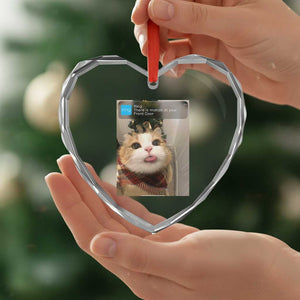 Funny Cat Christmas Heart Crystal Glass Ornament Ring There is Motion at Your Front Door Meme Xmas Tree TS10 Print Your Wear