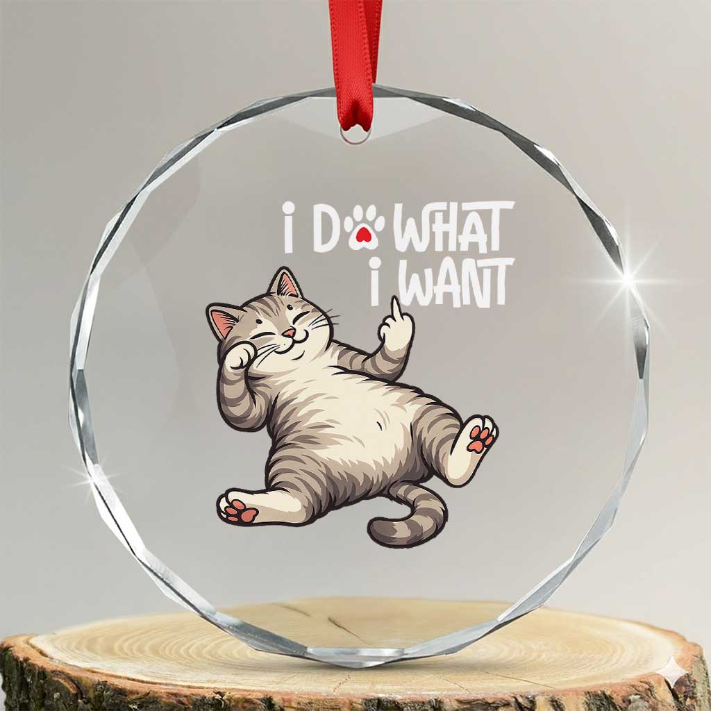 Funny Cat Crystal Glass Ornament I Do What I Want TS12 Transparent Glass 3'' Circle Print Your Wear
