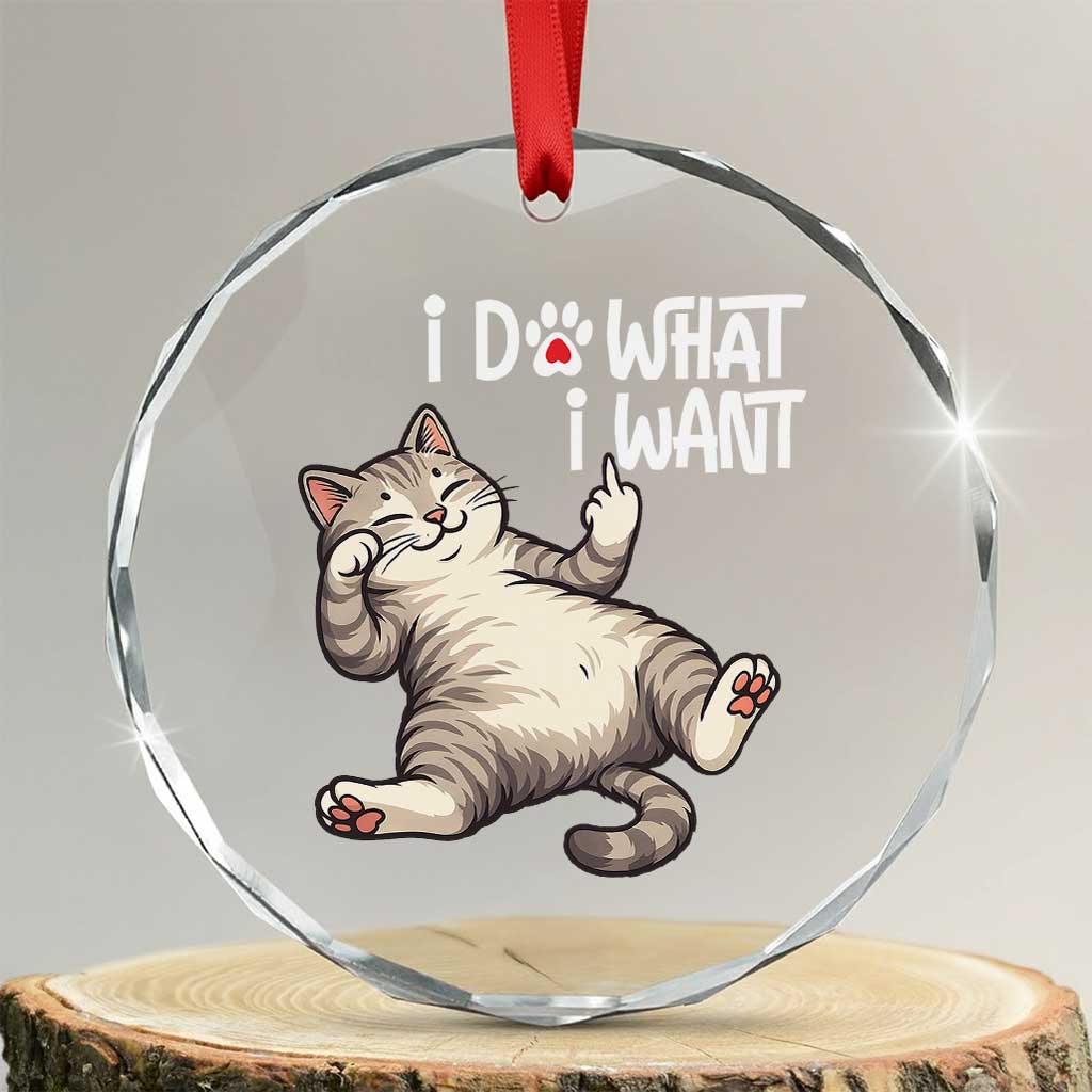 Funny Cat Crystal Glass Ornament I Do What I Want TS12 Transparent Glass 3'' Circle Print Your Wear