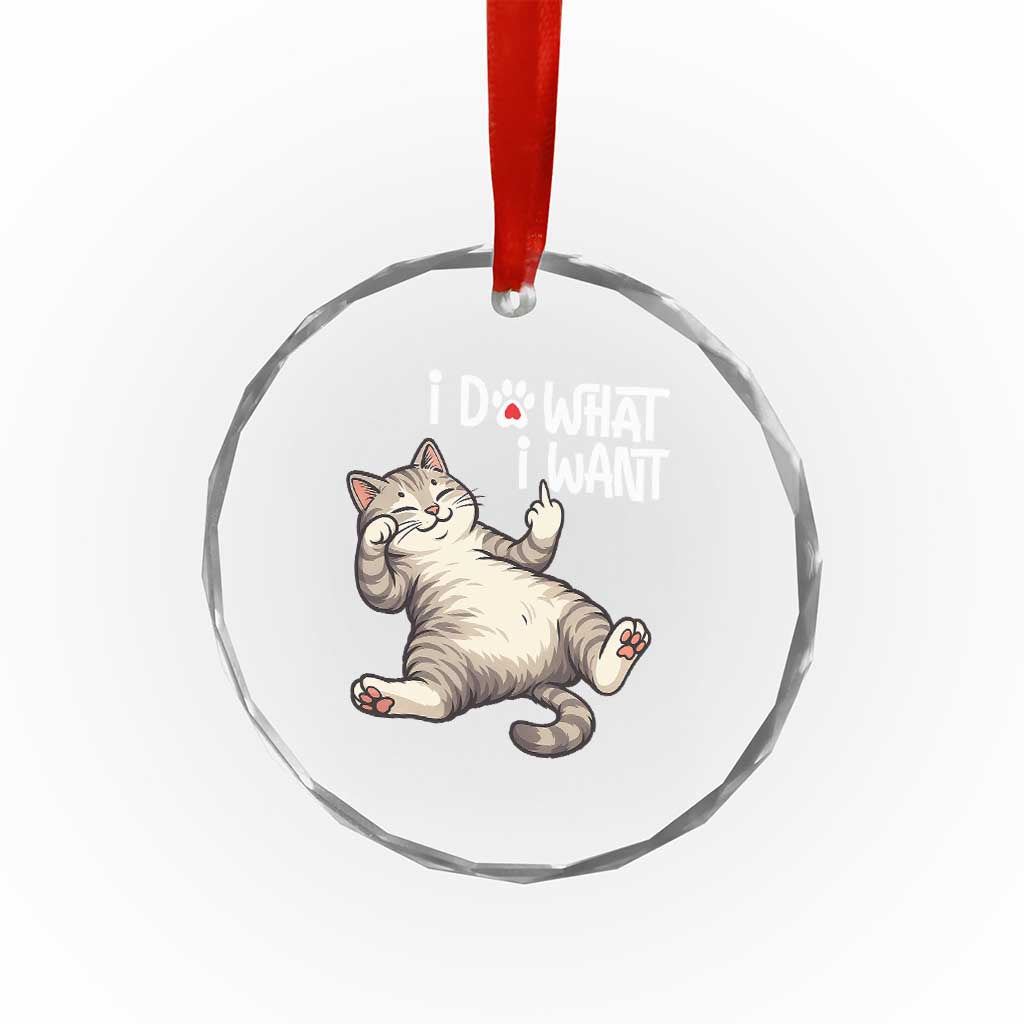 Funny Cat Crystal Glass Ornament I Do What I Want TS12 Print Your Wear