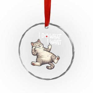 Funny Cat Crystal Glass Ornament I Do What I Want TS12 Print Your Wear