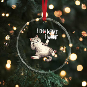 Funny Cat Crystal Glass Ornament I Do What I Want TS12 Print Your Wear