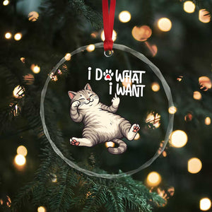 Funny Cat Crystal Glass Ornament I Do What I Want TS12 Print Your Wear