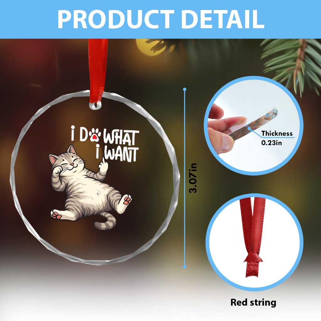 Funny Cat Crystal Glass Ornament I Do What I Want TS12 Print Your Wear