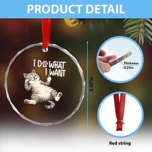 Funny Cat Crystal Glass Ornament I Do What I Want TS12 Print Your Wear