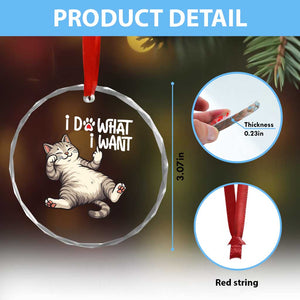 Funny Cat Crystal Glass Ornament I Do What I Want TS12 Print Your Wear