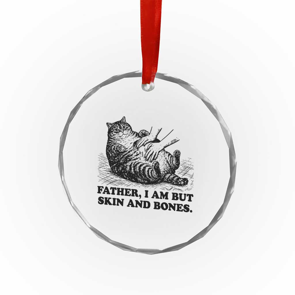 Funny Cat Dad Cat Lover Crystal Glass Ornament Father I Am But Skin and Bones TS14 Print Your Wear