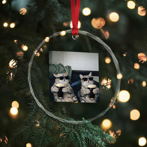 Funny Cat Drinking Irish Stout Beer Crystal Glass Ornament Black Beer and Cat Lovers TS11 Print Your Wear