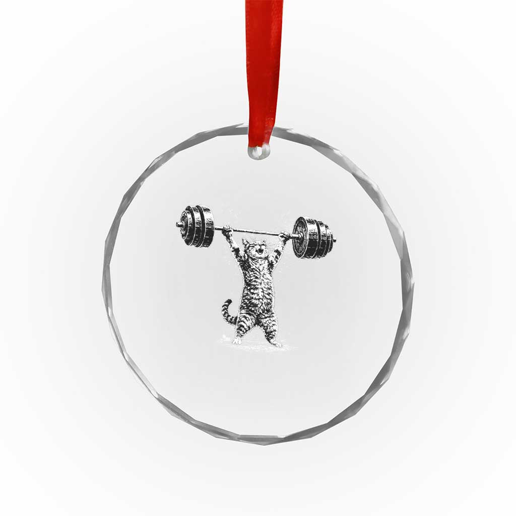 Funny Cat Gym Crystal Glass Ornament Weightlifting Workout TS10 Print Your Wear
