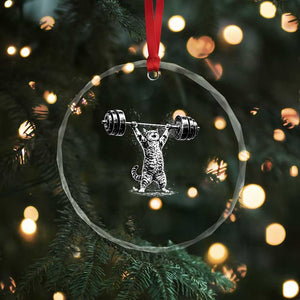 Funny Cat Gym Crystal Glass Ornament Weightlifting Workout TS10 Print Your Wear