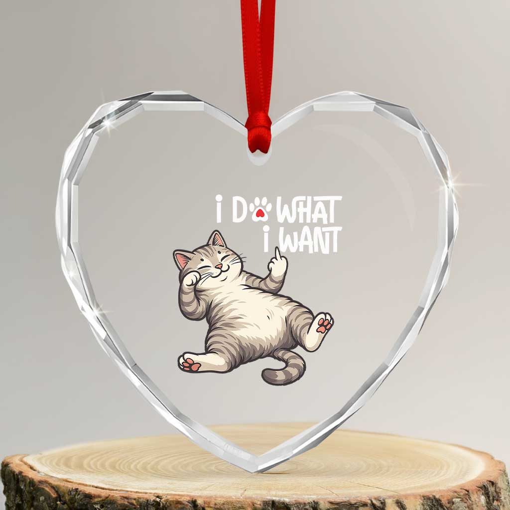 Funny Cat Heart Crystal Glass Ornament I Do What I Want TS12 Transparent Glass 3'' Heart Print Your Wear