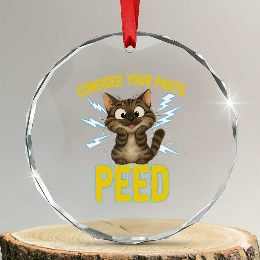 Funny Cat Lover Crystal Glass Ornament Consider Your Pants Peed Quote TS12 Transparent Glass 3'' Circle Print Your Wear