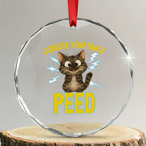 Funny Cat Lover Crystal Glass Ornament Consider Your Pants Peed Quote TS12 Transparent Glass 3'' Circle Print Your Wear