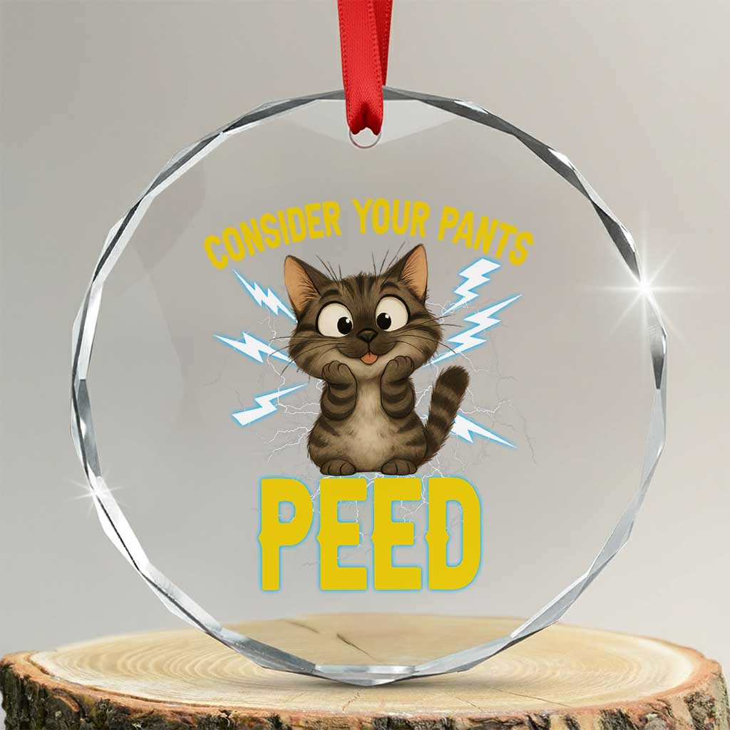 Funny Cat Lover Crystal Glass Ornament Consider Your Pants Peed Quote TS12 Transparent Glass 3'' Circle Print Your Wear