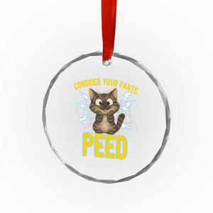 Funny Cat Lover Crystal Glass Ornament Consider Your Pants Peed Quote TS12 Print Your Wear