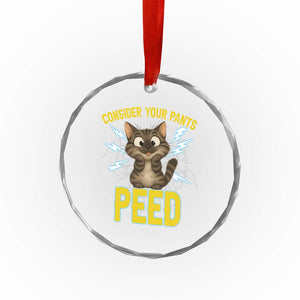 Funny Cat Lover Crystal Glass Ornament Consider Your Pants Peed Quote TS12 Print Your Wear