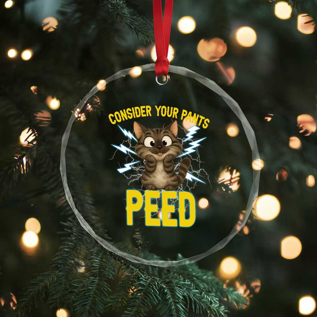 Funny Cat Lover Crystal Glass Ornament Consider Your Pants Peed Quote TS12 Print Your Wear