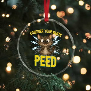 Funny Cat Lover Crystal Glass Ornament Consider Your Pants Peed Quote TS12 Print Your Wear
