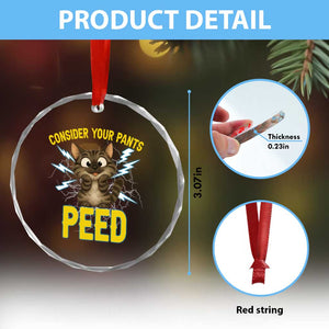 Funny Cat Lover Crystal Glass Ornament Consider Your Pants Peed Quote TS12 Print Your Wear