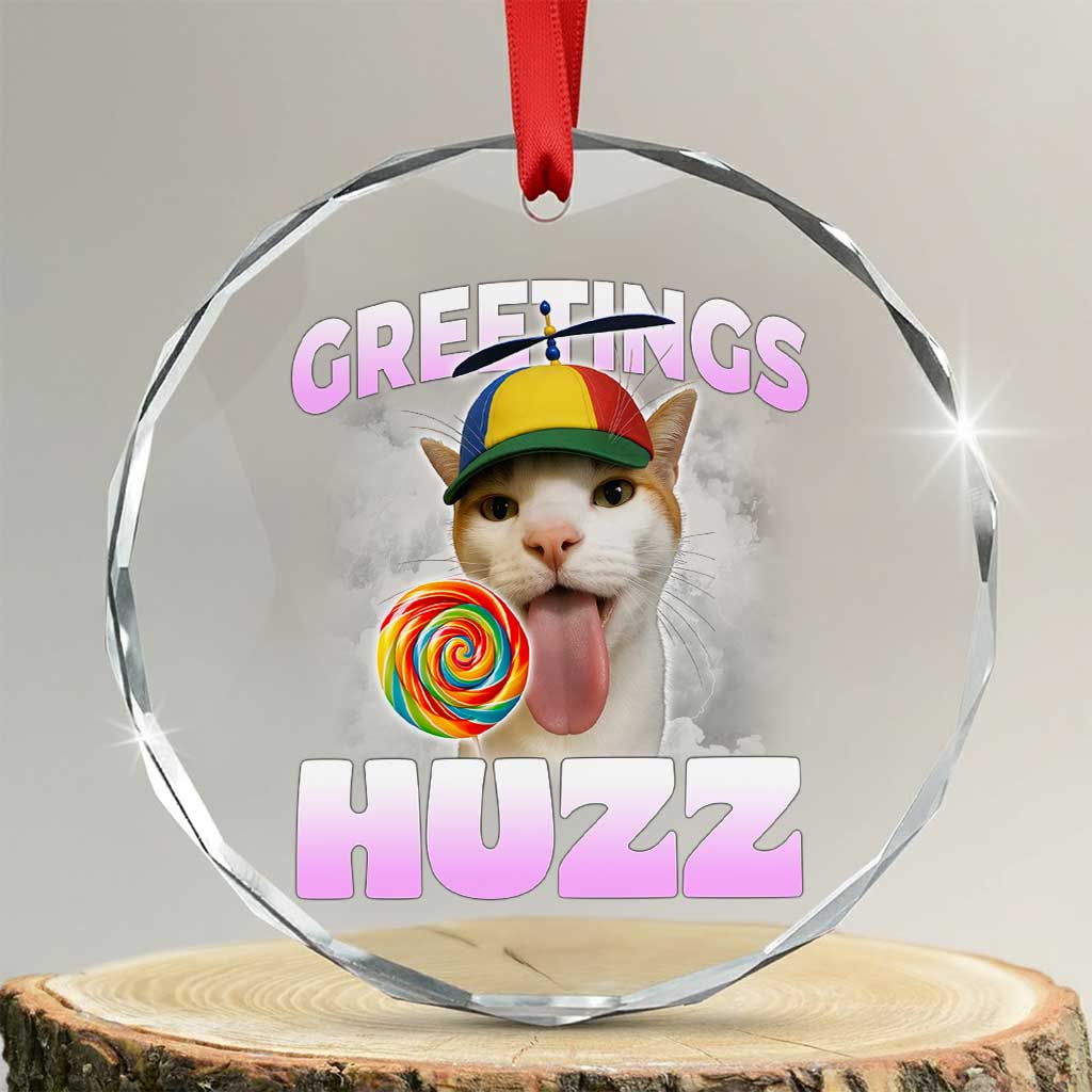 Funny Cat Meme Crystal Glass Ornament Greetings Huzz TS14 Transparent Glass 3'' Circle Print Your Wear