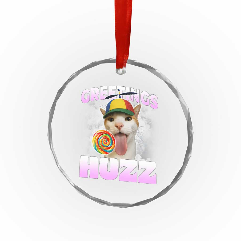 Funny Cat Meme Crystal Glass Ornament Greetings Huzz TS14 Print Your Wear