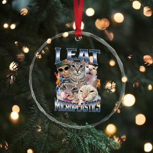 Funny Cat Meme Crystal Glass Ornament I Eat Microplastics TS14 Print Your Wear