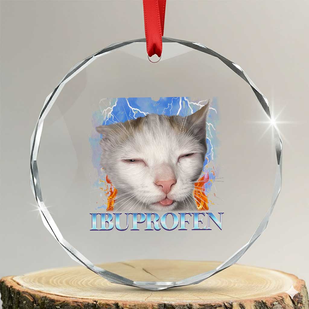 Funny Cat Meme Crystal Glass Ornament Ibuprofen Silly Kitten TS14 Transparent Glass 3'' Circle Print Your Wear