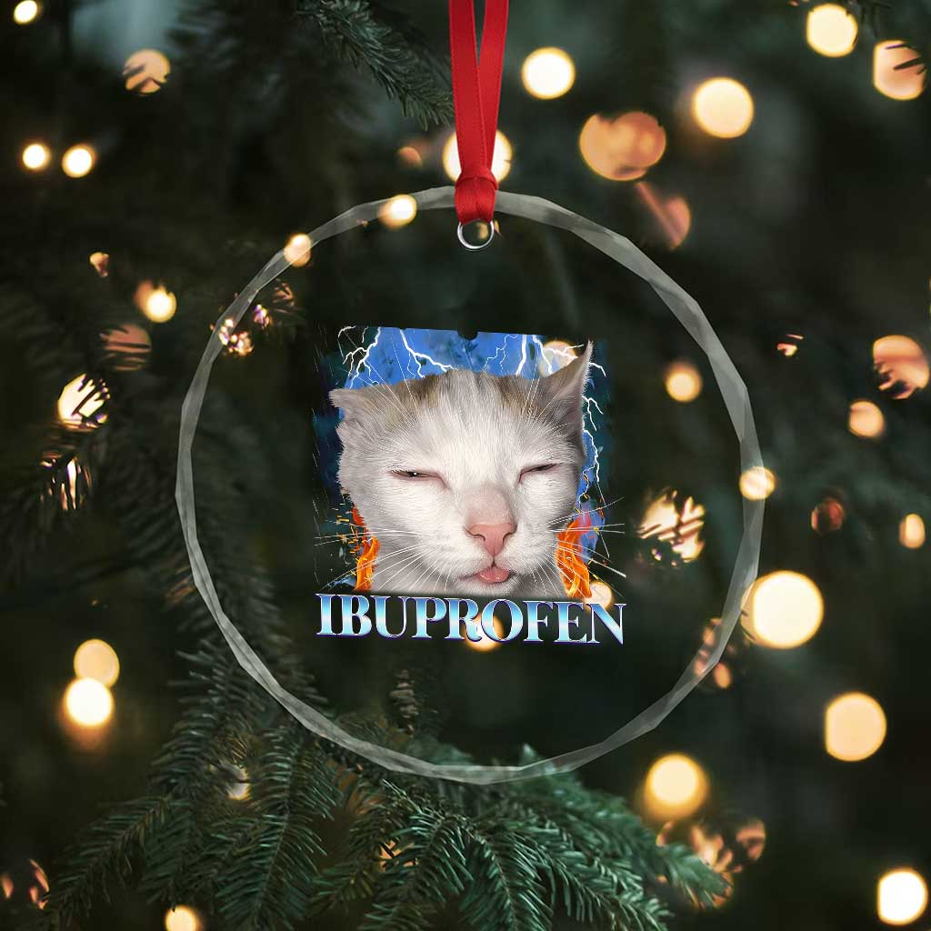 Funny Cat Meme Crystal Glass Ornament Ibuprofen Silly Kitten TS14 Print Your Wear