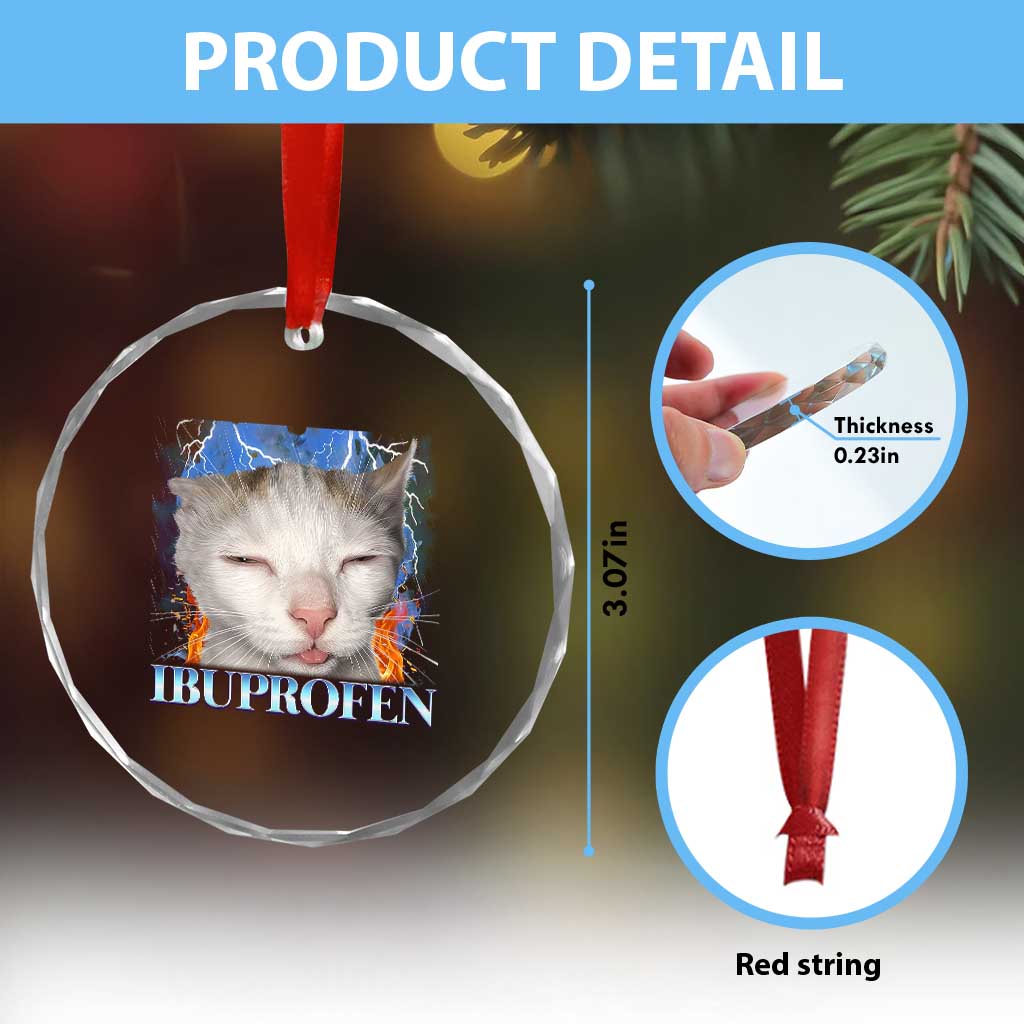 Funny Cat Meme Crystal Glass Ornament Ibuprofen Silly Kitten TS14 Print Your Wear