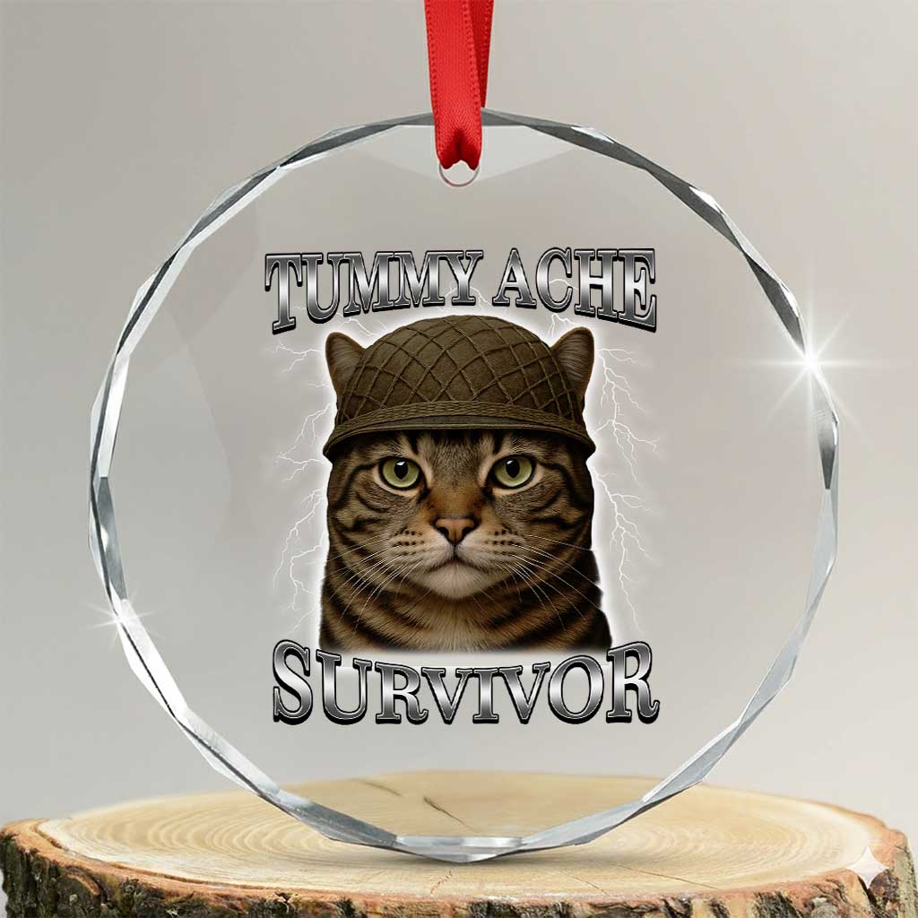 Funny Cat Meme Humor Crystal Glass Ornament Tummy Ache Survivor Lightning Cats Parody TS02 Transparent Glass 3'' Circle Print Your Wear