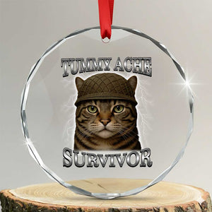 Funny Cat Meme Humor Crystal Glass Ornament Tummy Ache Survivor Lightning Cats Parody TS02 Transparent Glass 3'' Circle Print Your Wear