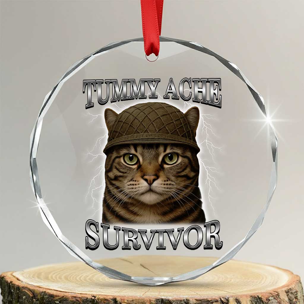 Funny Cat Meme Humor Crystal Glass Ornament Tummy Ache Survivor Lightning Cats Parody TS02 Transparent Glass 3'' Circle Print Your Wear
